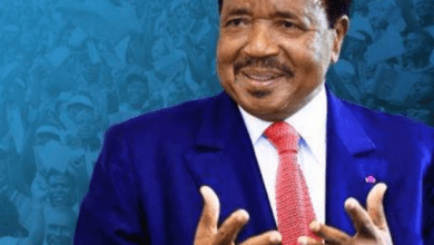 Le Cameroun Ratifie un Accord de Transport Aérien avec l'Afrique du Sud