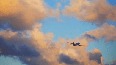 Cette compagnie aérienne Introduit une Option de Siège Séparé pour les Femmes : Une Première Historique