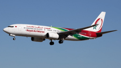 Une Infestation de Cafards dans un Avion de la Royal Air Maroc Perturbe les Passagers
