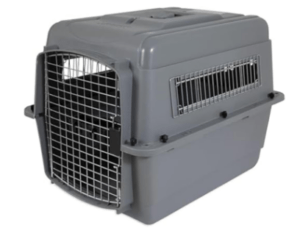 Voyager en Avion avec un Chien : Guide Complet pour un Voyage Réussi