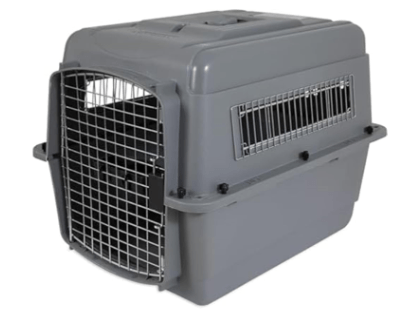 Voyager en Avion avec un Chien : Guide Complet pour un Voyage Réussi