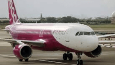 La Chine enregistrera un nombre record de voyages de passagers aériens en 2024