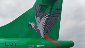 Gabon : Fly Gabon prête à déployer ses ailes après des vols d’essai réussis