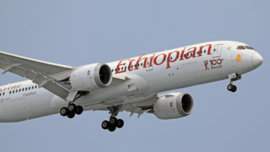 Ethiopian Airlines a suspendu ses vols vers l'Erythrée