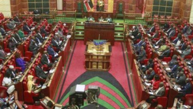 Le Parlement kenyan propose une holding fusionnant les sociétés aériennes publiques