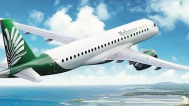 Madagascar Airlines : Un Nouveau Souffle Grâce à un Partenariat Stratégique