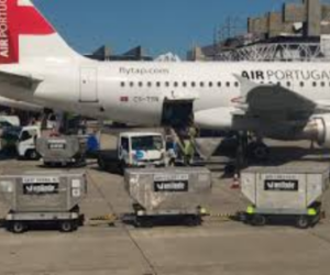 Digitalisation, durabilité et sécurité : Les enjeux clés du Symposium Mondial du Fret Aérien 2025 de l'IATA à Dubaï du 15 au 17 Avril