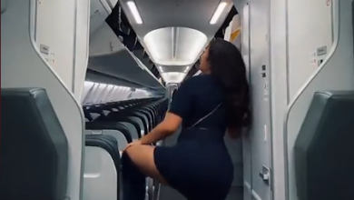Une hôtesse de l’air licenciée par Alaska Airlines après un twerk viral dans un avion