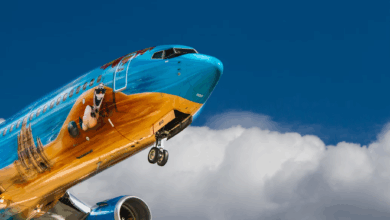 Quelle Compagnie Aérienne Choisir pour le Japon ? Le Guide Ultime (2025)