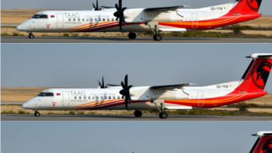 TAAG Angola Airlines : La ligne Luanda-Houston dans le viseur pour 2027