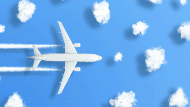 Comment Fonctionne le Système Anti-Givrage des Ailes ? Tout ce que Vous Devez Savoir