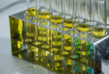 Quelles compagnies africaines utilisent des biocarburants ?