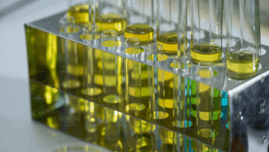 Quelles compagnies africaines utilisent des biocarburants ?