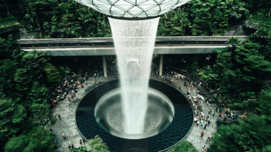 Quoi acheter à l’aéroport de Singapour (Changi) en 2025 ?