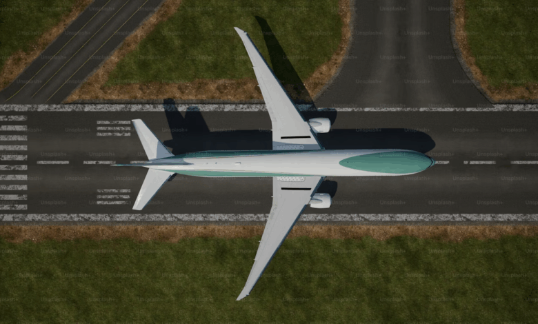 Quelle aviation dans un monde contraint ?