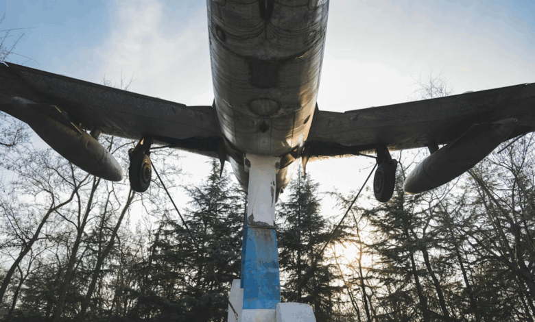 Quels sont les effets du vol sur l’environnement ?