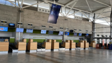 Location de voiture à l’aéroport de Figari : nos conseils pratiques !