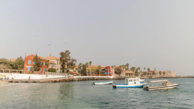 Vol Paris Dakar : quelle compagnie choisir ?