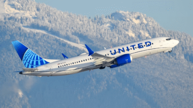 Boeing 737 MAX : Problèmes, Fiabilité et Situation Actuelle