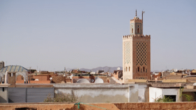 Vol Abidjan-Bamako : Prix, Compagnies et Informations Pratiques