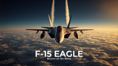 Top 10 des avions de chasse les plus rapides du monde